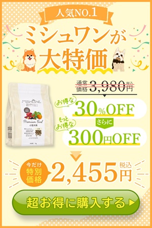 ミシュワン大特価！