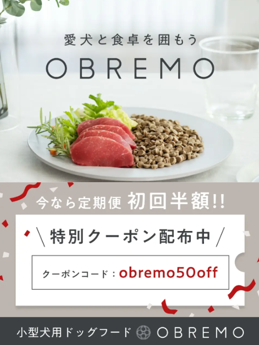 OBREMO大特価
