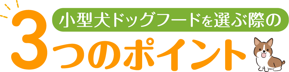 小型犬ドッグフードを選ぶ際の3つのポイント