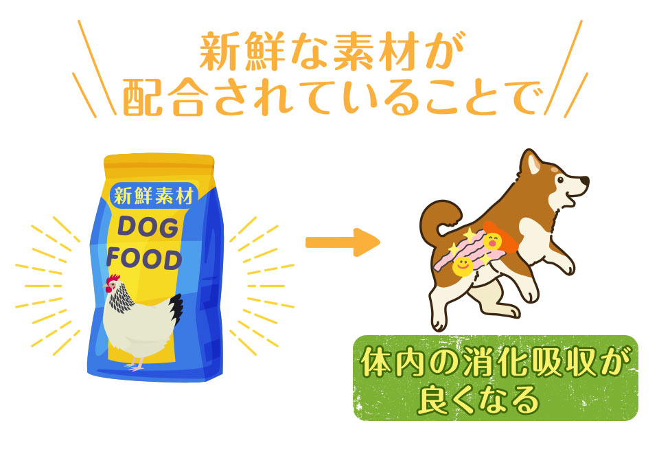 新鮮な素材が配合されていることで体内の消化吸収をよくなる