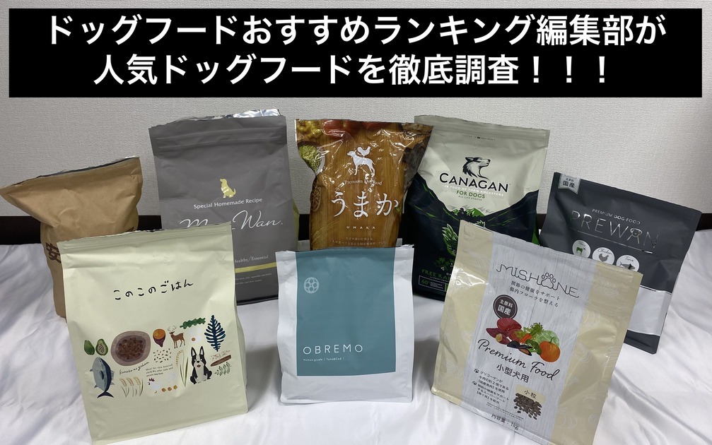 編集部が人気ドッグフードの粒の大きさを徹底比較