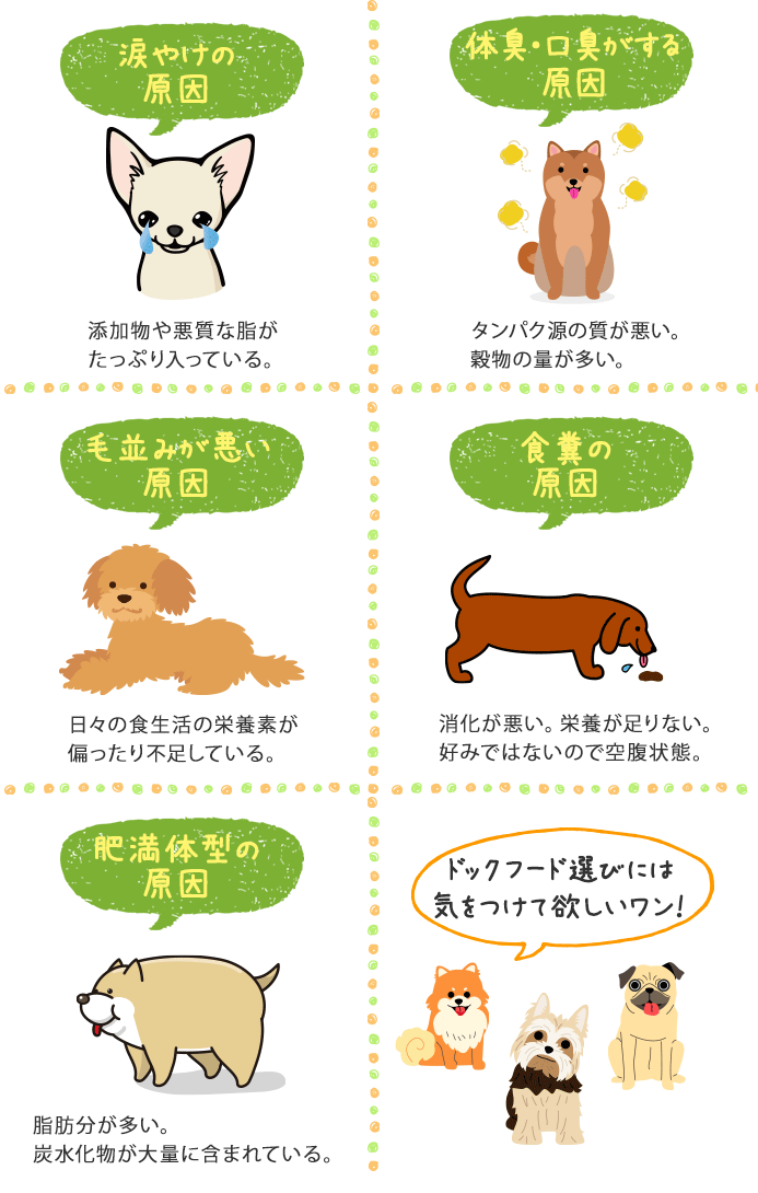 ドッグフード選びには気をつけてほしい