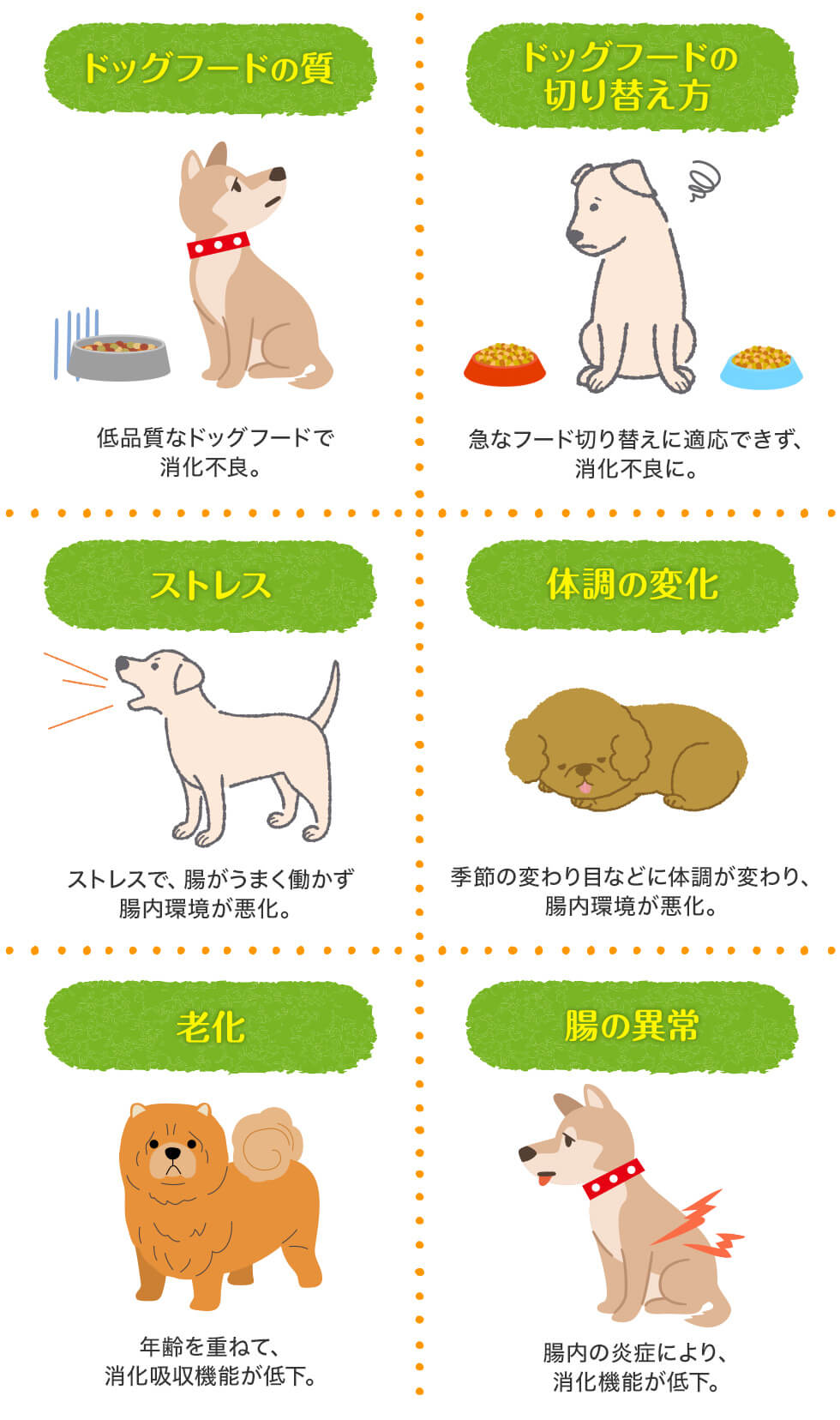 ドッグフードの質：低品質なドッグフードで消化不良。ドッグフードの切り替え方：急なフード切り替えに適応できず、消化不良に。 ストレス：ストレスで、腸がうまく働かず腸内環境が悪化。 体調の変化：季節の変わり目などに体調が変わり、腸内環境が悪化。 廊下：年齢を重ねて、消化吸収機能が低下。 腸の異常：腸内の炎症により、消化機能が低下。