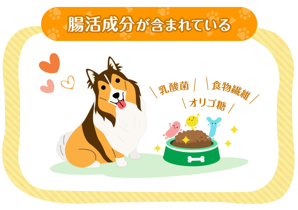 腸活成分が含まれている