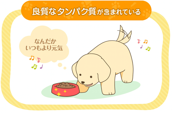 良質なたんぱく質