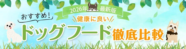 【2026年最新】ドッグフード徹底比較