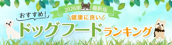 【2026年】ドッグフードランキング