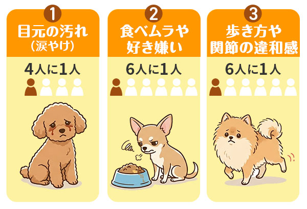 小型犬に多い3つのトラブル