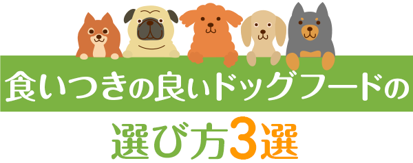 食いつきの良いドッグフードの選び方3選
