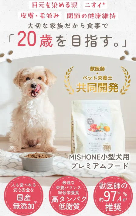 ミシュワン公式サイト
