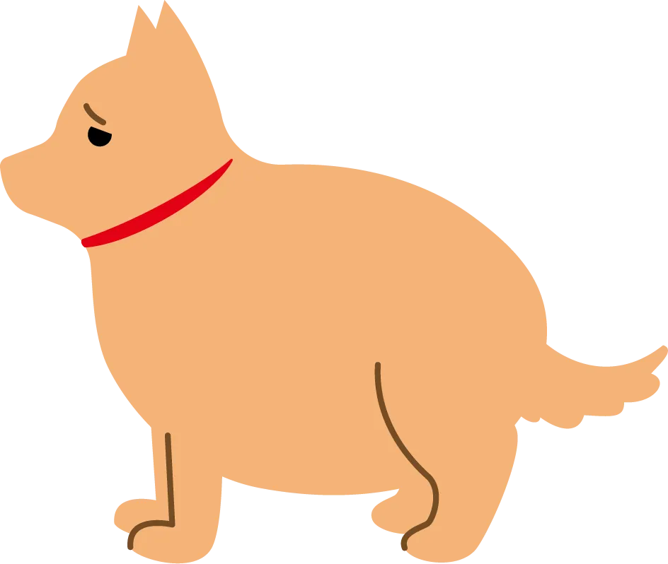 可愛い愛犬がだんだん太ってきてる...ダイエット方法をご紹介