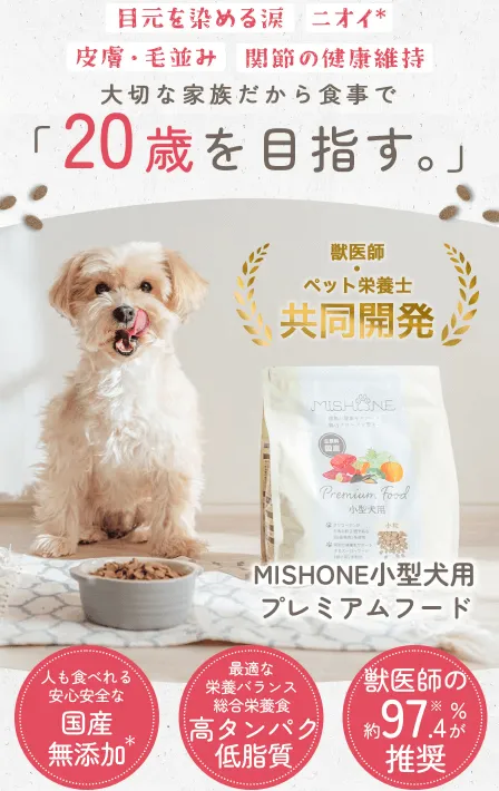 ミシュワン公式サイト