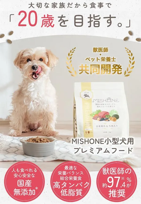 ミシュワン公式サイト