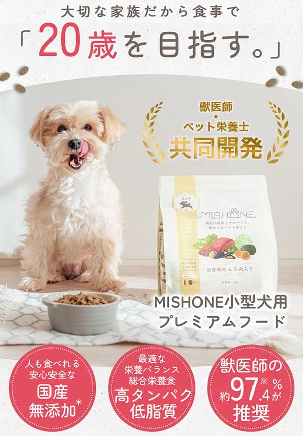 ミシュワン公式サイト