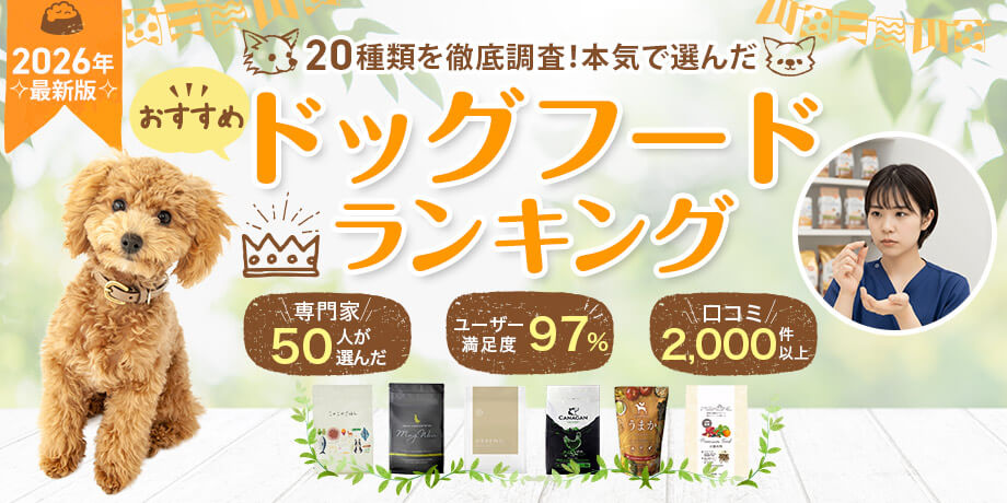 【2026年最新】本当におすすめできるドッグフード厳選比較5選