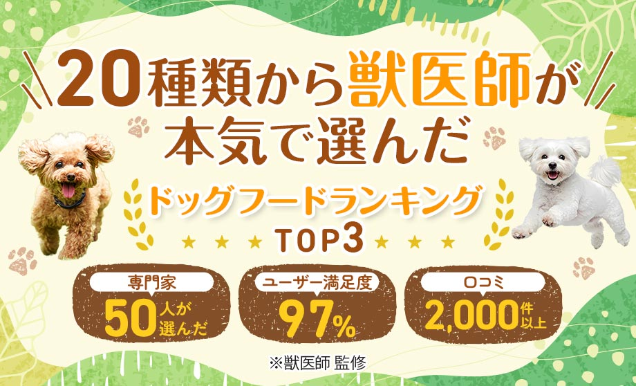【2026年最新】食いつきおすすめのドッグフード厳選比較5選